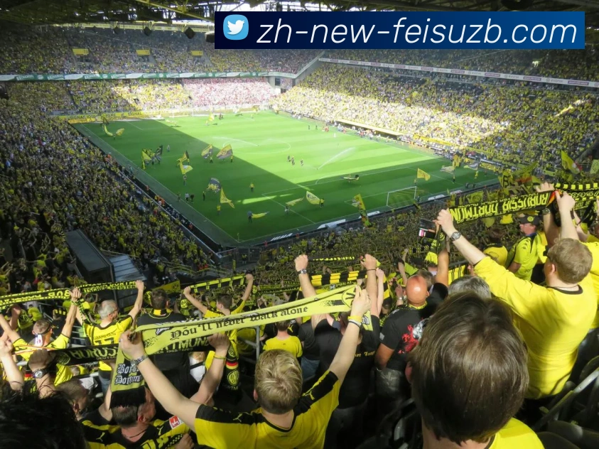 飞速直播品牌故事