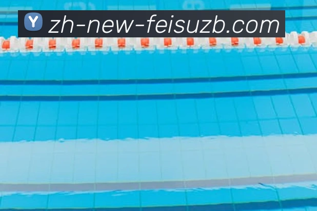 飞速直播服务体系